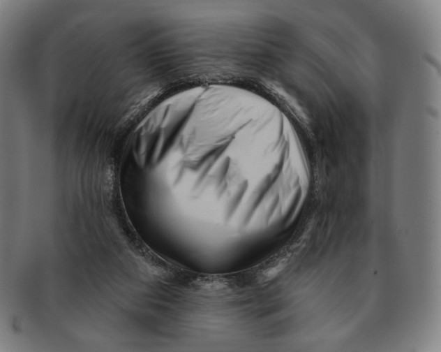 X0000090970113200708301235