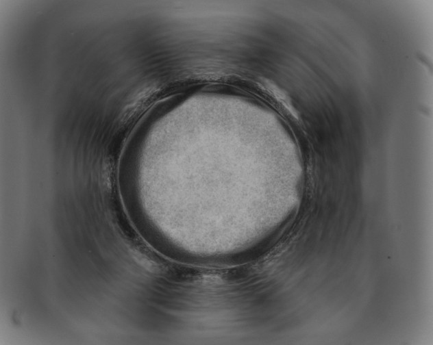 X0000090970114200708301235