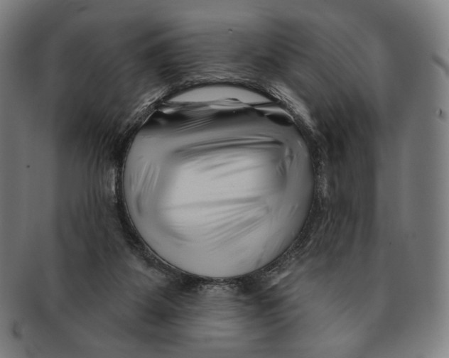 X0000090970115200708301235