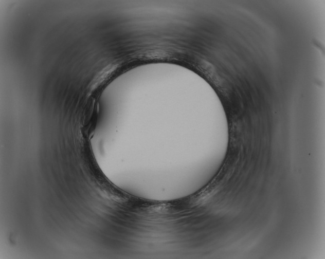 X0000090970116200708301235