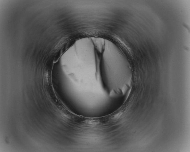X0000090970117200708301235