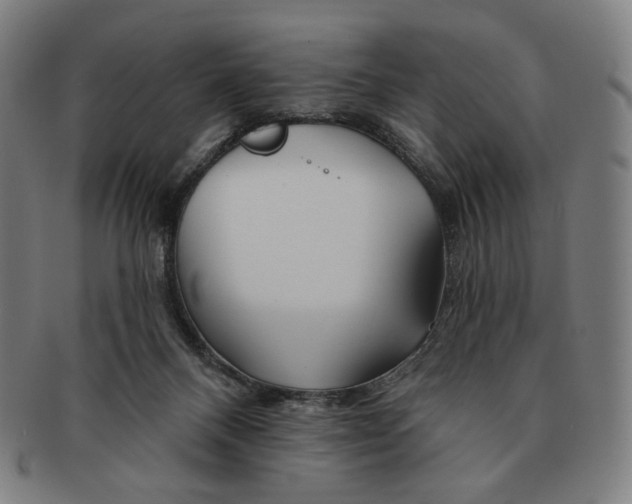 X0000090970120200708301235