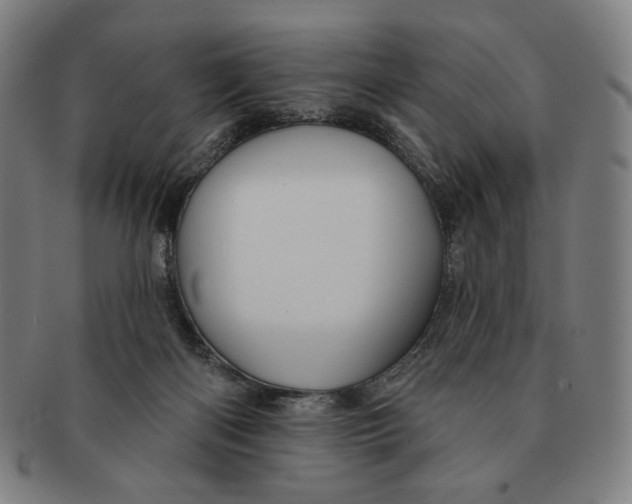 X0000090970122200708301235