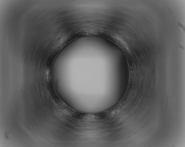 X0000090970123200708301235