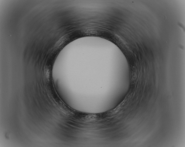 X0000090970124200708301235