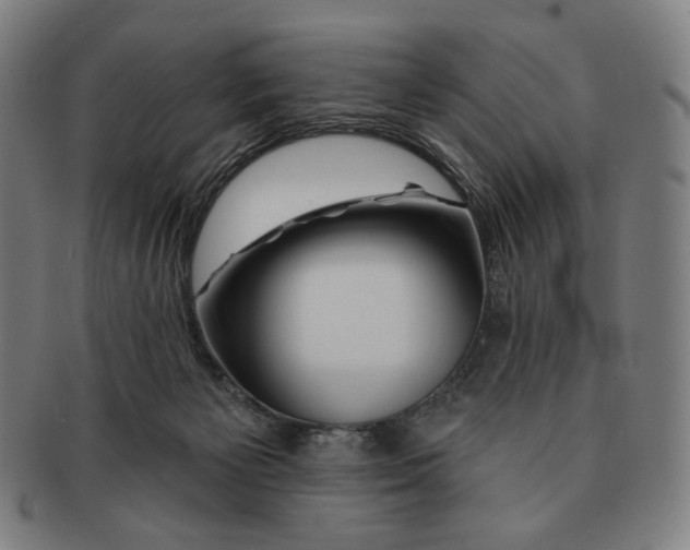 X0000090970125200708301235