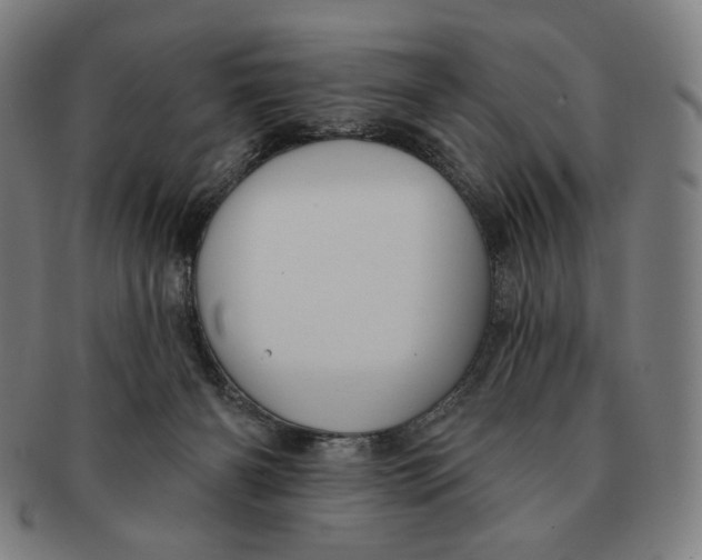 X0000090970126200708301235