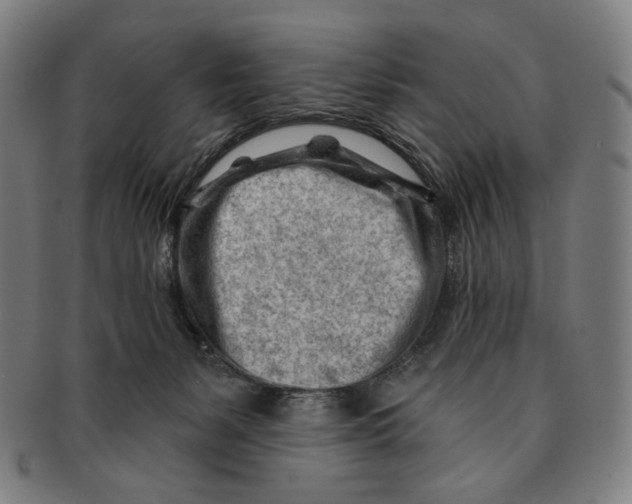 X0000090970127200708301235