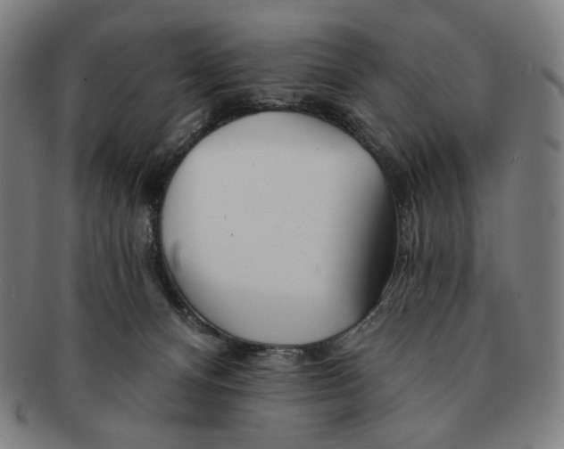 X0000090970128200708301235