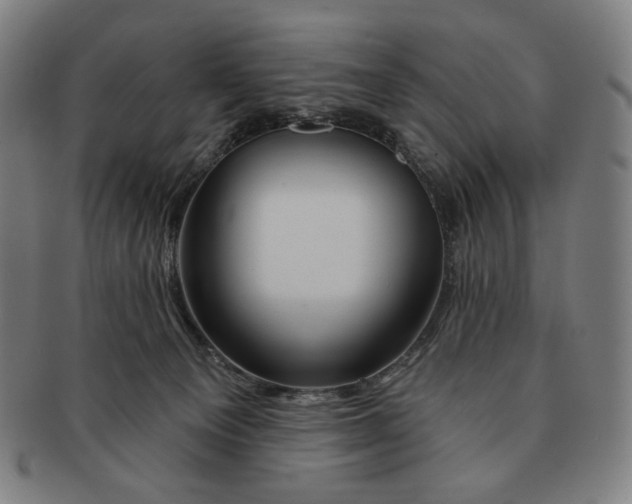 X0000090970129200708301235