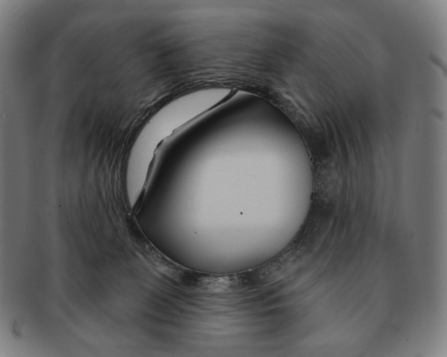 X0000090970131200708301235