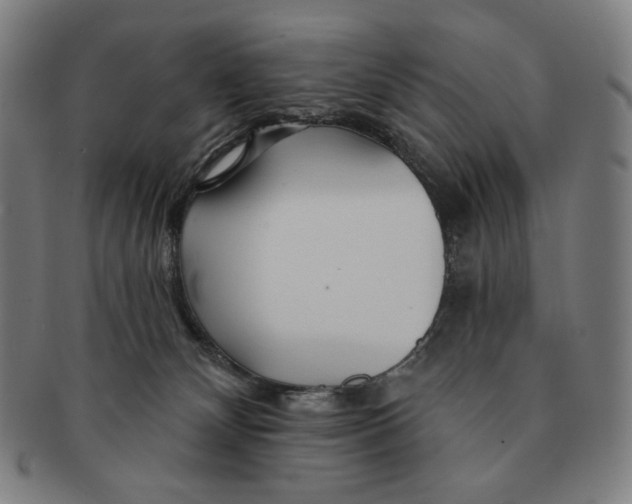 X0000090970132200708301235