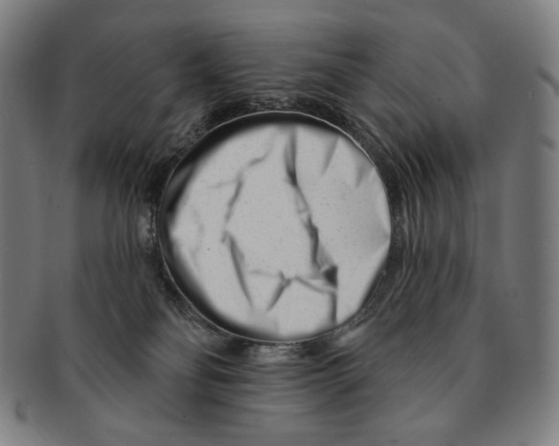 X0000090970134200708301235