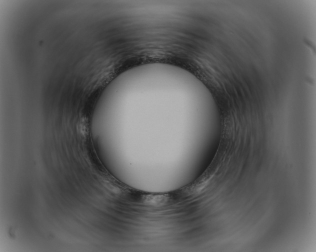 X0000090970135200708301235