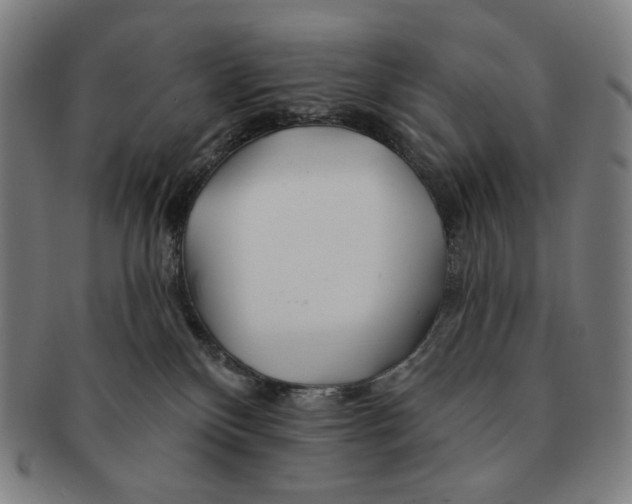 X0000090970136200708301234