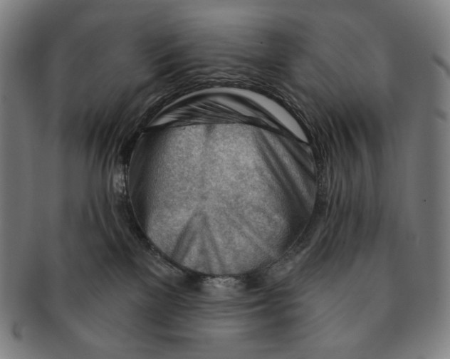 X0000090970137200708301234