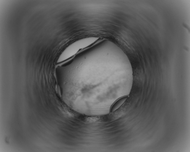 X0000090970139200708301234