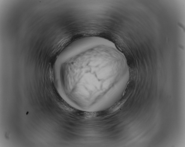 X0000090970143200708301234