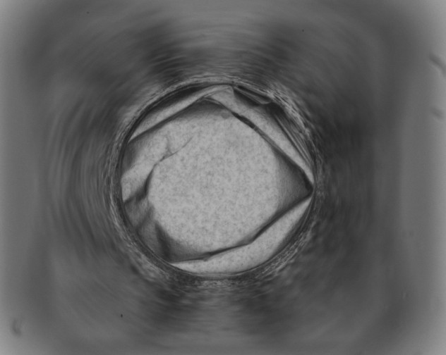 X0000090970145200708301234