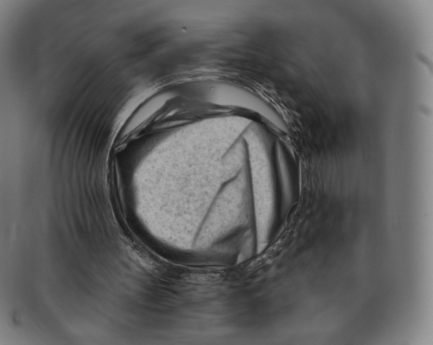 X0000090970147200708301234