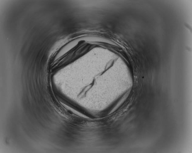 X0000090970149200708301234