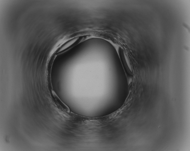 X0000090970150200708301234