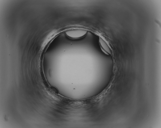 X0000090970151200708301234