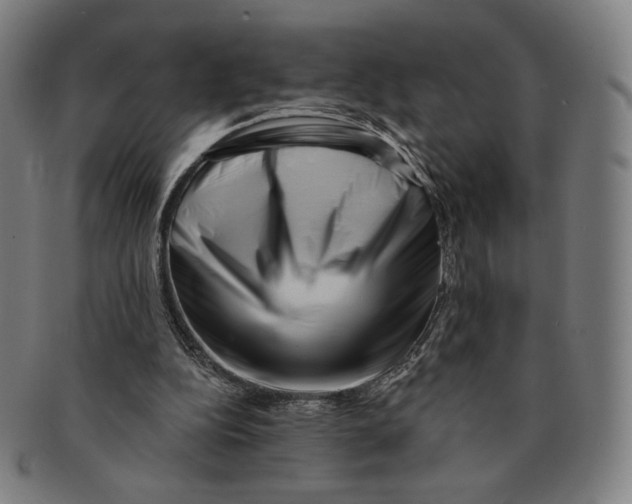X0000090970152200708301234