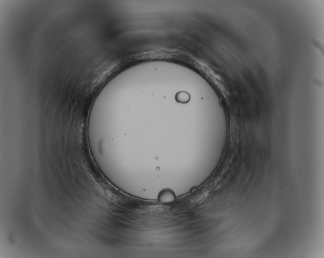 X0000090970153200708301234