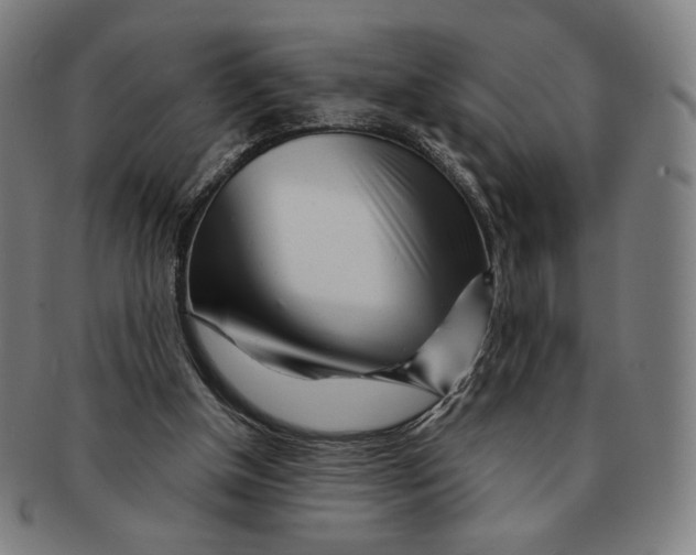 X0000090970154200708301234