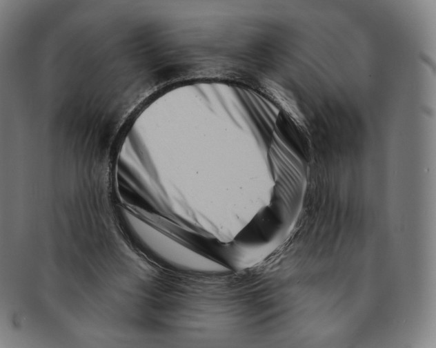 X0000090970156200708301234