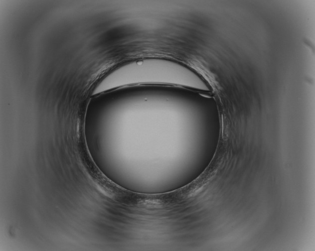 X0000090970157200708301234