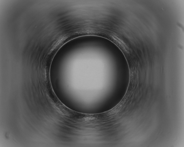 X0000090970158200708301234