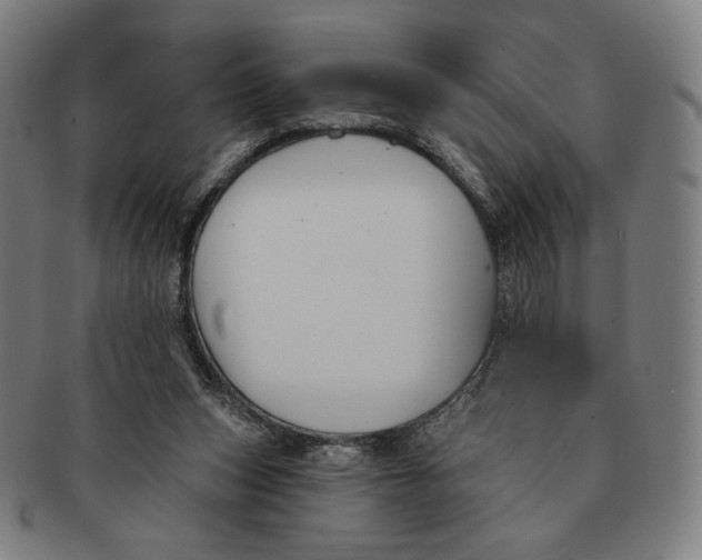 X0000090970159200708301234