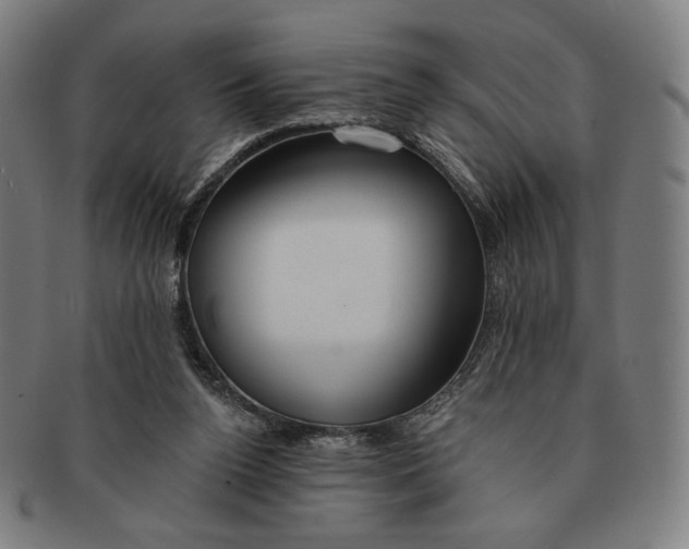X0000090970160200708301234