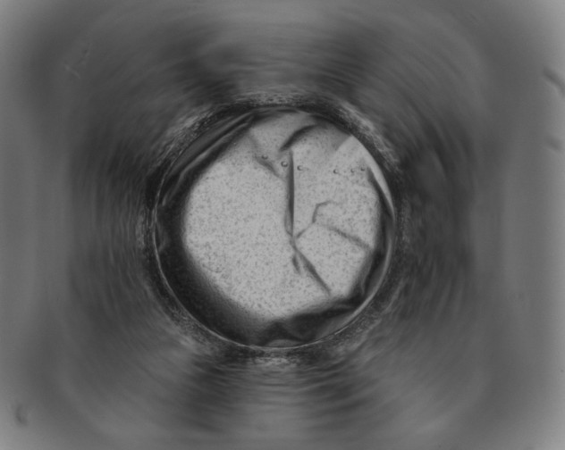 X0000090970161200708301234