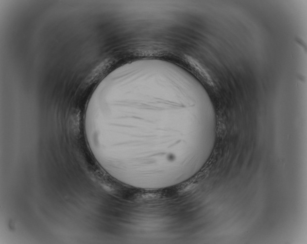 X0000090970163200708301234