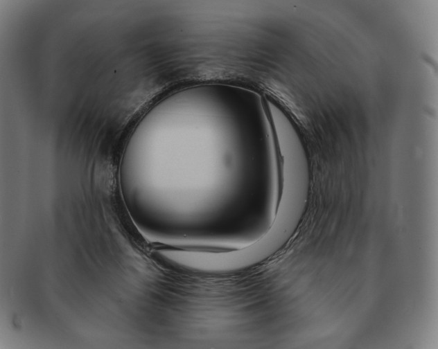 X0000090970164200708301234