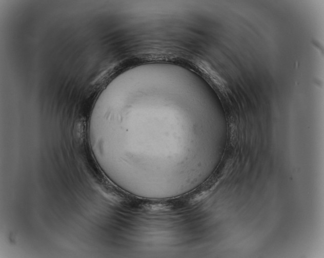 X0000090970165200708301234