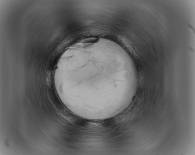 X0000090970167200708301234