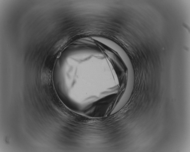 X0000090970168200708301234