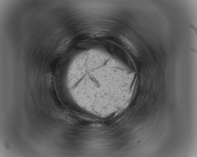 X0000090970169200708301234