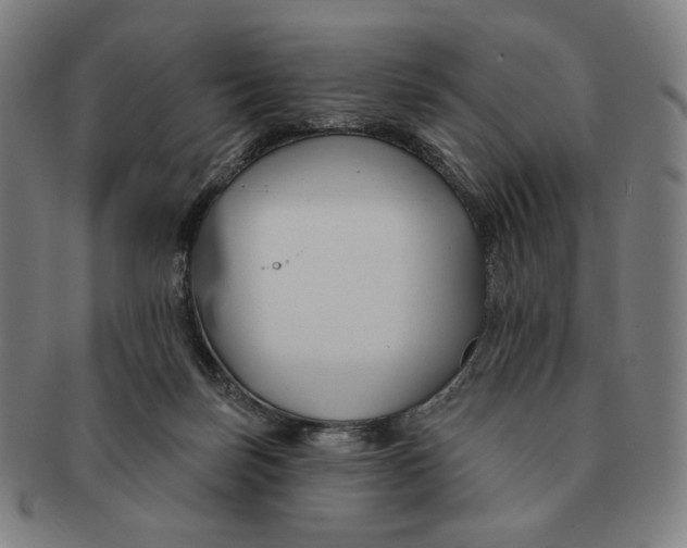 X0000090970171200708301234