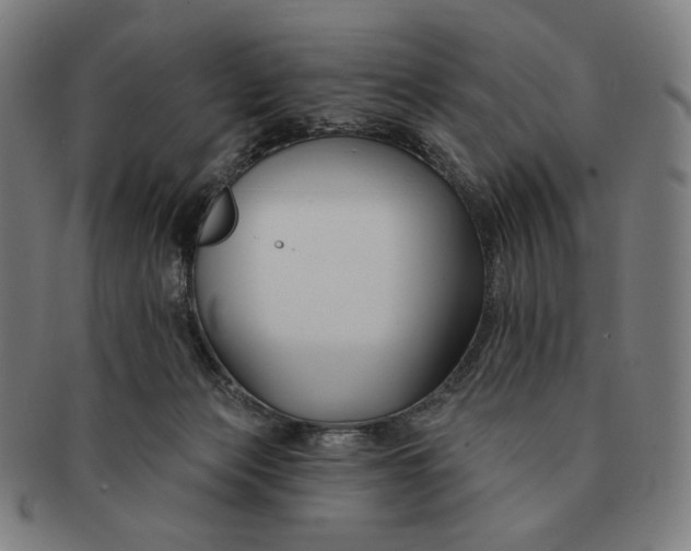 X0000090970173200708301234