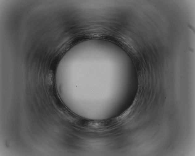 X0000090970174200708301234