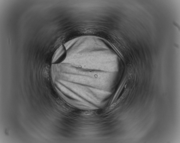 X0000090970175200708301234