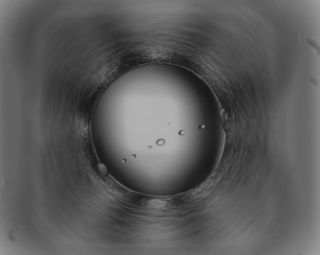 X0000090970176200708301234