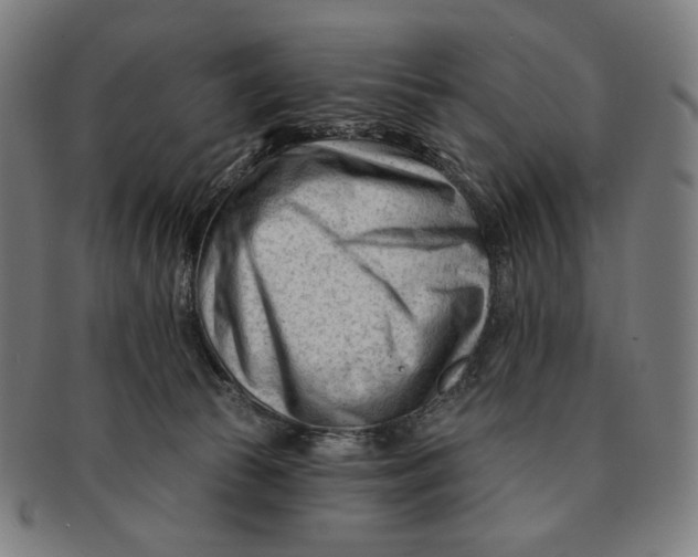 X0000090970177200708301234