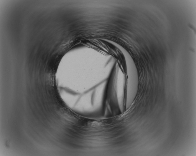 X0000090970180200708301234