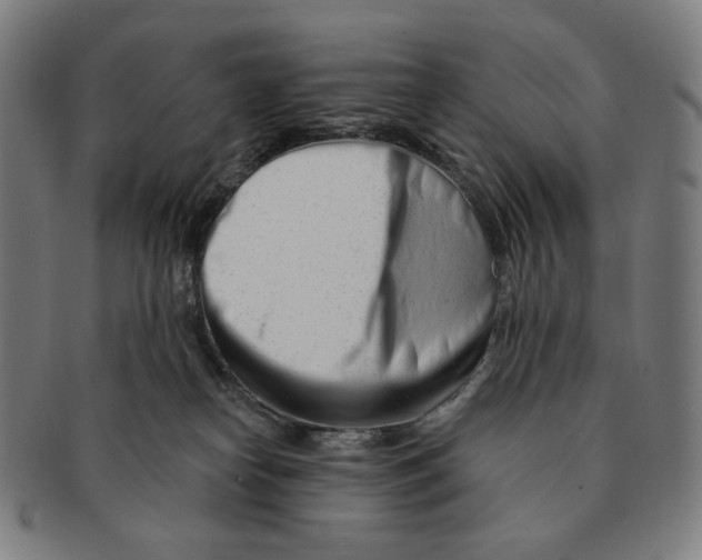 X0000090970182200708301234